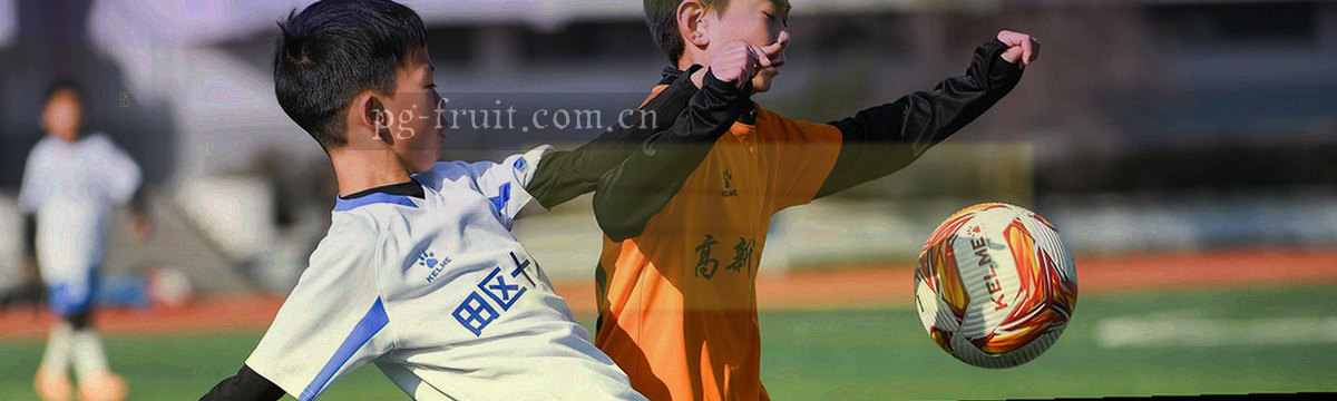 纸张折叠叠影与二维码抽象，表示历史版本归档页面